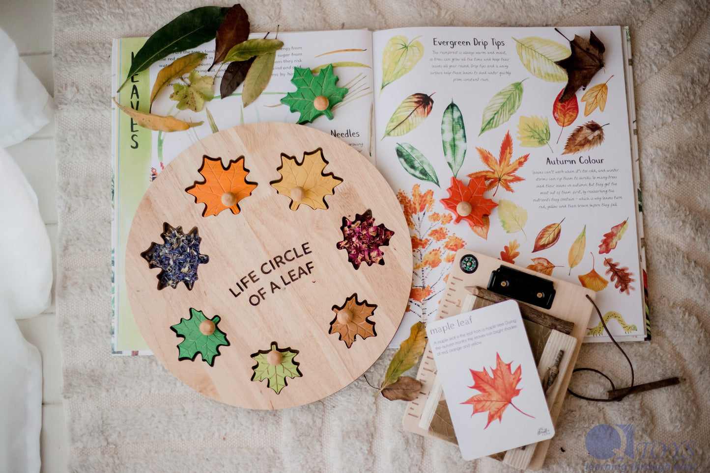 Little Leaf Circle Of Life Puzzle